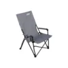 Coleman Forester Series Sling Chair -Cole Store 2000035921 109