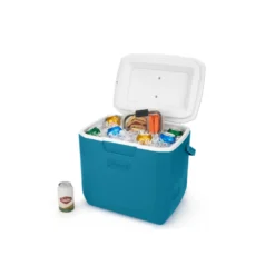 Coleman Chiller™ 30-Quart Portable Cooler -Cole Store 2160830 3